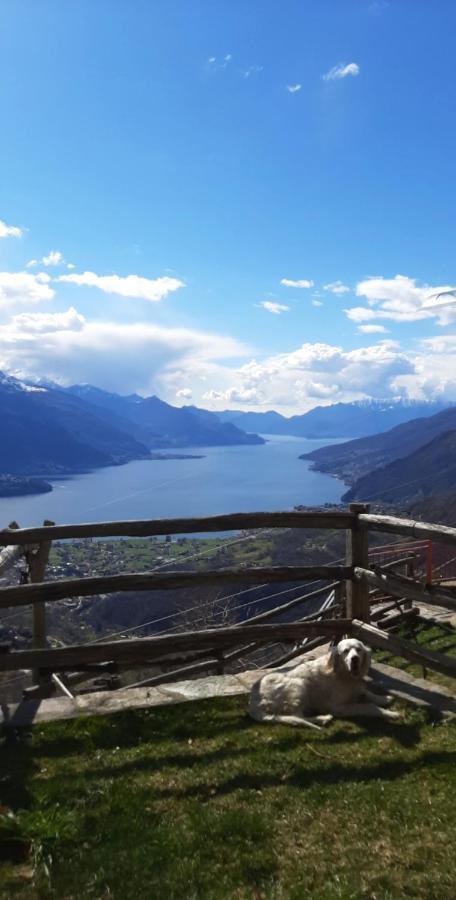Agriturismo Zertin Gravedona Bagian luar foto