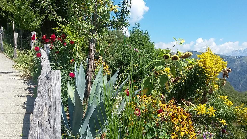 Agriturismo Zertin Gravedona Bagian luar foto