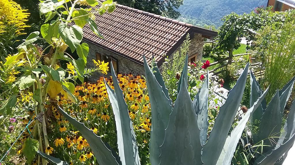 Agriturismo Zertin Gravedona Bagian luar foto